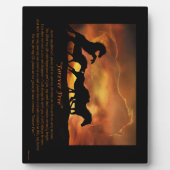 Gedenkstätte für das freie Pferd Fotoplatte (Vorderseite)