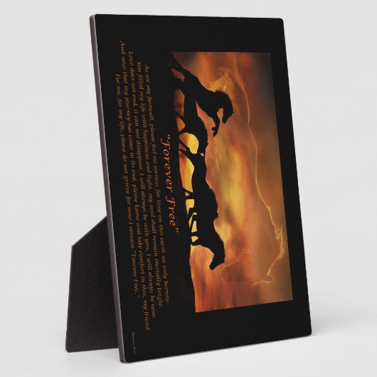 Gedenkstätte für das freie Pferd Fotoplatte (Seite)