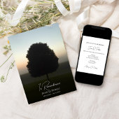 Gedenkstätte für den natürlichen Baum bei Sonnenau Einladung