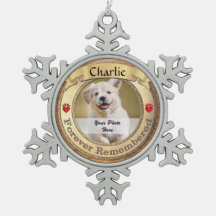 Gedenkstätte für Goldene Haustiere - für immer ver