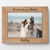 Gedenkstätte für Haustiere - Forellen in unseren H Fotoplatte (Vorderseite)