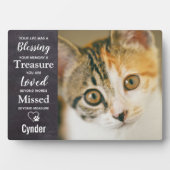 Gedenkstätte für Haustiere Fotoplatte (Vorderseite)