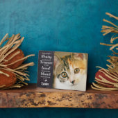 Gedenkstätte für Haustiere Fotoplatte (Seite)