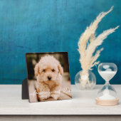 Gedenkstätte für Haustiere für immer Hört Einfache Fotoplatte (InSitu)