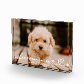 Gedenkstätte für Haustiere für immer von der einfa Fotoblock (Rechts)