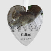 Gedenkstätte für Haustiere Geliebter Keepake Ornament (Vorderseite)