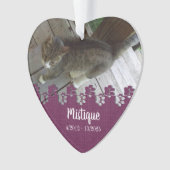 Gedenkstätte für Haustiere Geliebter Keepake Ornament (Vorderseite)