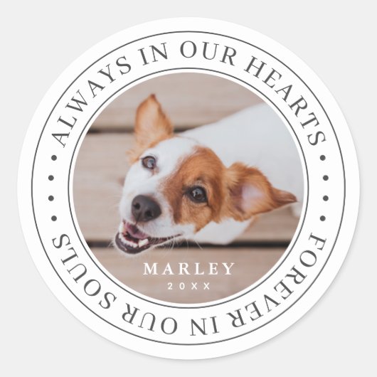 Gedenkstätte für Haustiere immer in unserem Herzen Runder Aufkleber (Vorderseite)