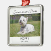 Gedenkstätte für Haustiere in unserem einfachen Fo Ornament Aus Metall (Links)