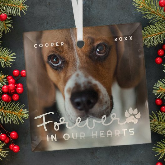 Gedenkstätte für Haustiere in unserem Herzen Moder Ornament Aus Glas