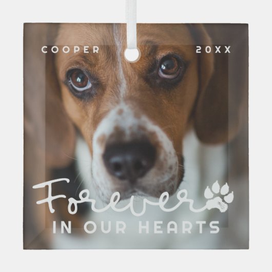 Gedenkstätte für Haustiere in unserem Herzen Moder Ornament Aus Glas (Vorderseite)