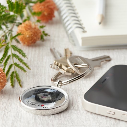 Gedenkstätte für Haustiere - Katze oder Hund im HE Schlüsselanhänger (Seite)
