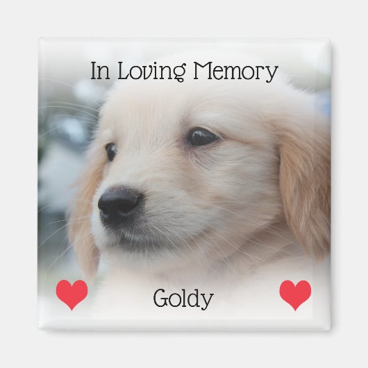 Gedenkstätte für Haustiere mit Herz und Foto Magnet (Vorne)