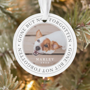 Gedenkstätte für Haustiere verschwunden, aber nich Ornament