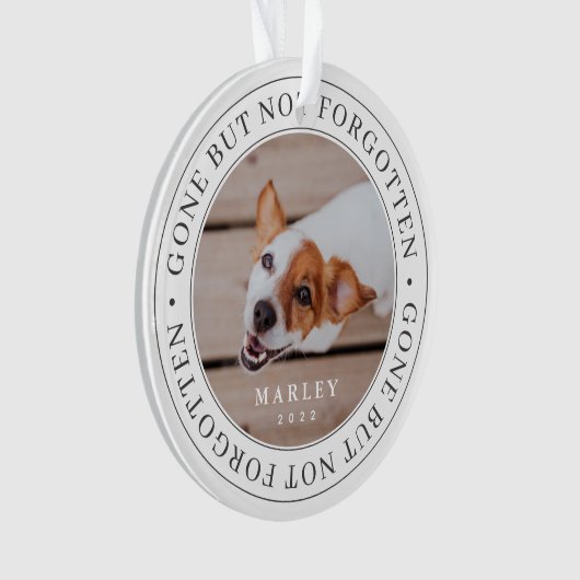 Gedenkstätte für Haustiere verschwunden, aber nich Ornament (Vorderseite)