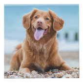 Gedenkstätte für Hunde Erinnerung Personalisiert 4 Würfel (Vorderseite)