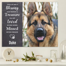 Gedenkstätte für Hunde - Foto zum Verlust des Haus