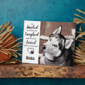 Gedenkstätte für Hunde - Gedenken an Hunde - Schla Fotoplatte (Seite)