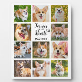 Gedenkstätte für Hunde in unserem Herz Fotoplatte (Vorderseite)