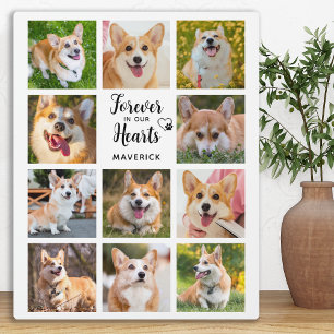 Gedenkstätte für Hunde in unserem Herz Fotoplatte