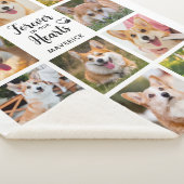 Gedenkstätte für Hunde in unserem Herz Sherpadecke (3/4)