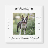 Gedenkstätte für Hunde Magnet (Vorne)