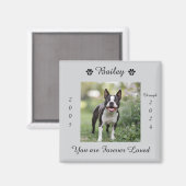 Gedenkstätte für Hunde Magnet (Vorderseite/Rückseite)