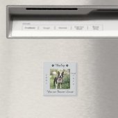 Gedenkstätte für Hunde Magnet (In Situ (Geschirrspüler))