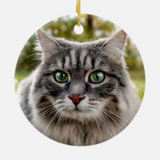 Gedenkstätte für Hunde oder Katzen Bewundernswerte Keramik Ornament (Hinten)