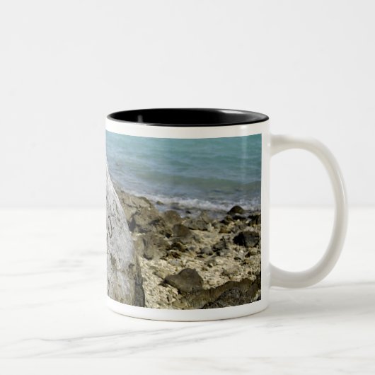 Gedenkstätte für Kriegsgefangene auf Weckend Insel Zweifarbige Tasse (Rechts)