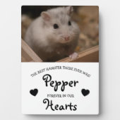 Gedenkstätte für niedliche Kinder Fotoplatte (Vorderseite)