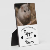 Gedenkstätte für niedliche Kinder Fotoplatte (Seite)