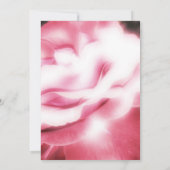 Gedenkstätte für Rosen / Ankündigung (Rückseite)