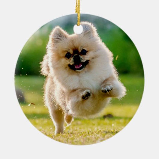 Gedenkstätte für Rustikale Hauskatze oder Foto für Keramik Ornament (Hinten)