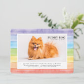 Gedenkstätte| Modern Watercolor Rainbow Pet Foto Einladung (Stehend Vorderseite)