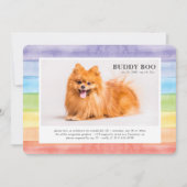 Gedenkstätte| Modern Watercolor Rainbow Pet Foto Einladung (Vorderseite)