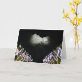 Gedenkstätte Moschmore - Abend-Beleuchtung - Karte (Gelbe Blume)