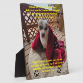 Gedenktafel Fotoplatte (Seite)