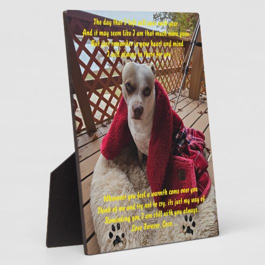 Gedenktafel Fotoplatte (Seite)