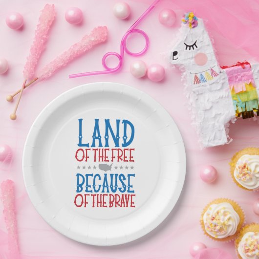 Gedenktag Veteran's Day Patriotic Pappteller (Party)