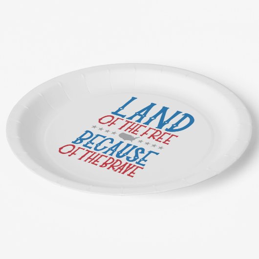 Gedenktag Veteran's Day Patriotic Pappteller (Schrägansicht)