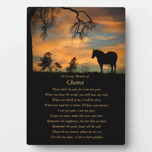 Gedenktribut an PferdeEquine in der Liebe zum Gedä Fotoplatte (Vorderseite)