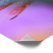 Gedicht der seltsamen Libelle - Poster / Druck (Ecke)