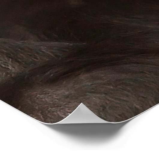 Gedicht Funny Gorilla Poster (Ecke)