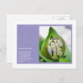 Gedicht für ein neues Leben Postkarte (Vorne/Hinten)