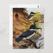 Gedichtete Kingfischarten und ihr Nesttunnel Postkarte (Vorne/Hinten)