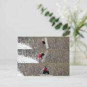 Gedreht Postkarte (Stehend Vorderseite)