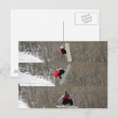 Gedreht Postkarte (Vorne/Hinten)