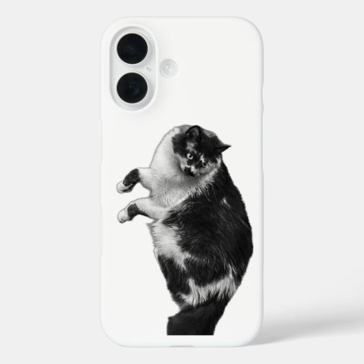 Gedreht Whiskers Cat Phone Case (Rückseite)