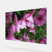 Gedruckte Leinwand Acrylschild (Winkel)